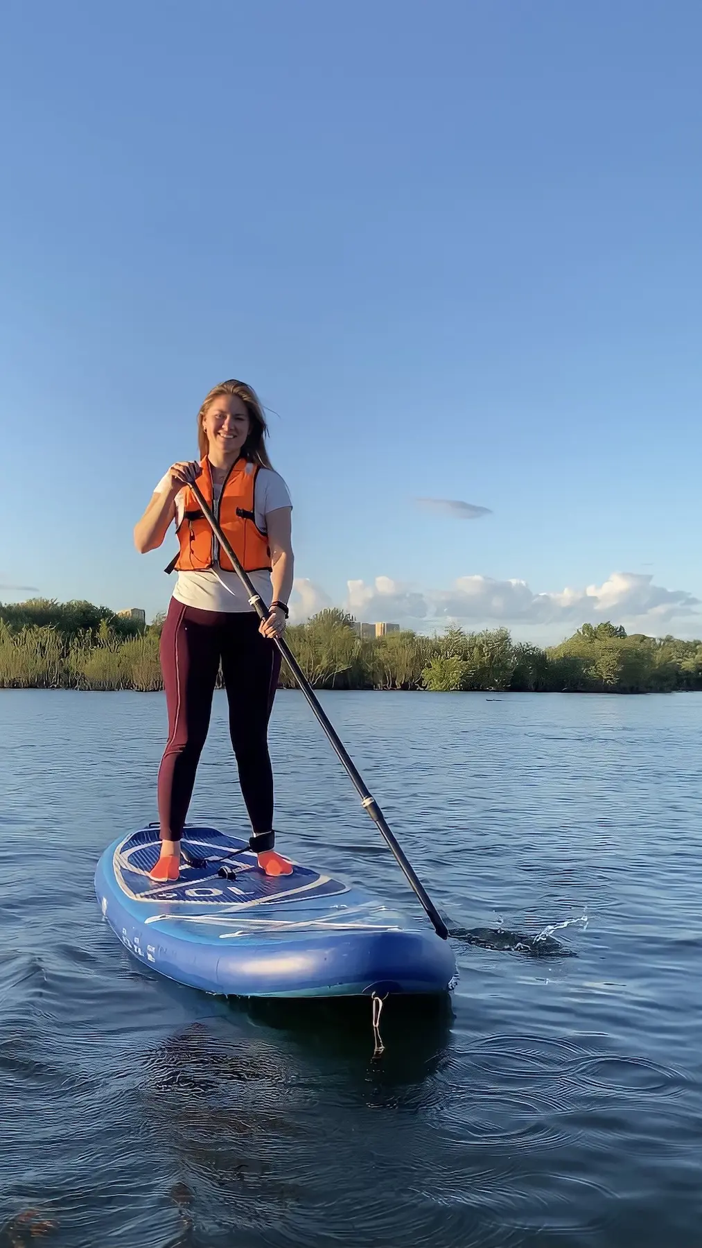 Новые открытия. Набор впечатлений