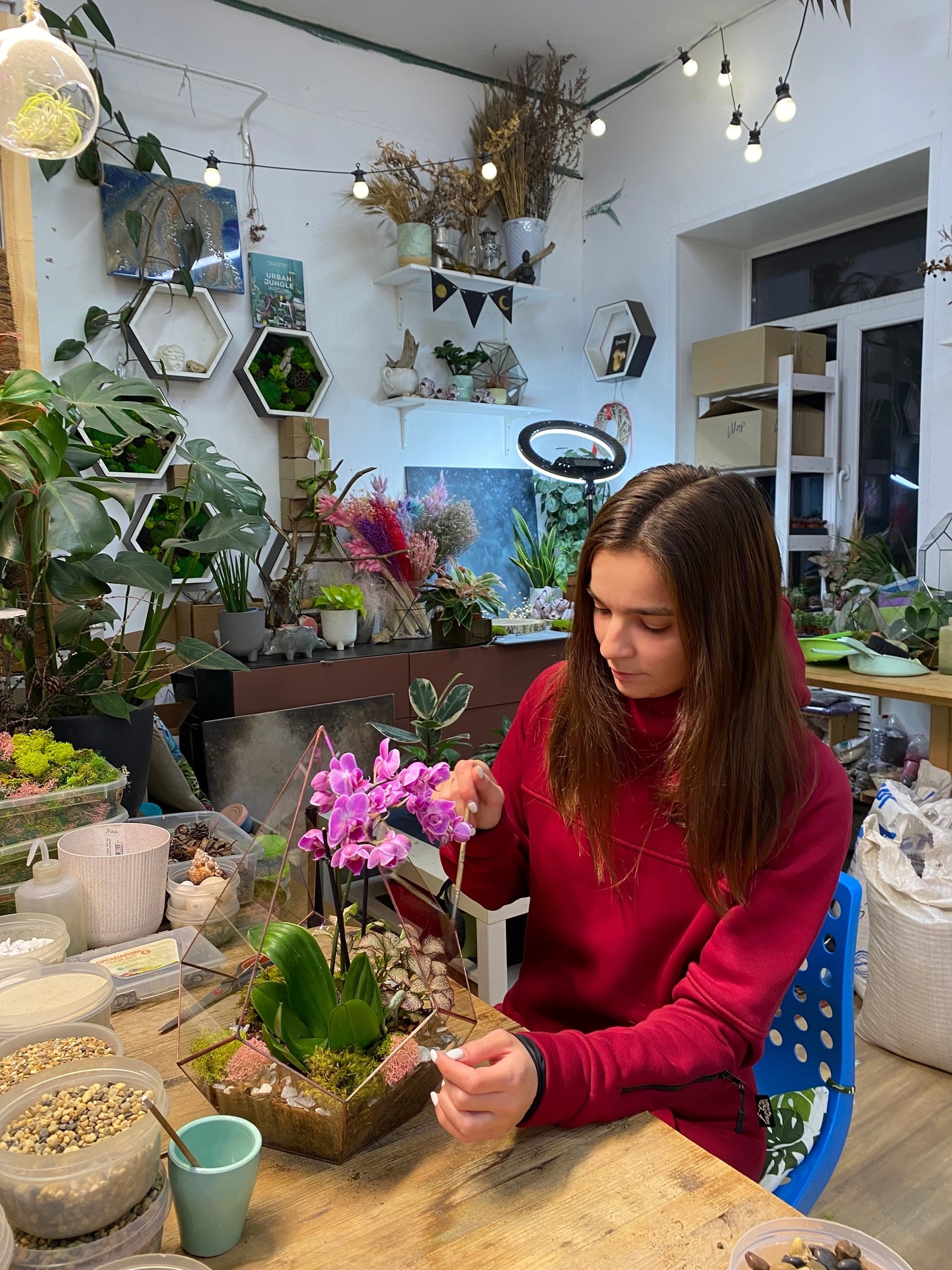 Мастер-класс по созданию орхидариума